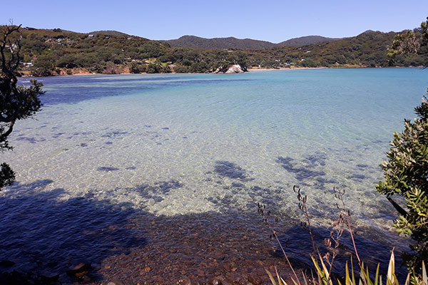 Tryphena area on Great Barrier Island
