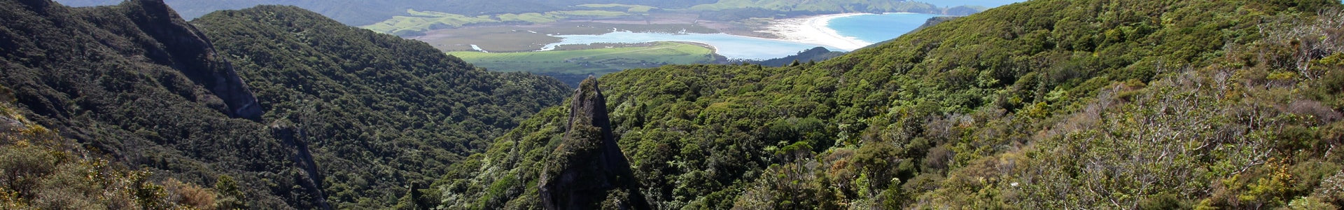 Great Barrier Island Vista 