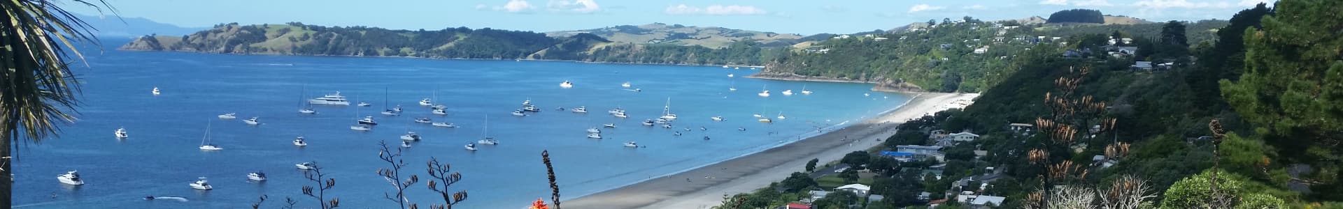 Panorama of boats in the harbour on Waiheke