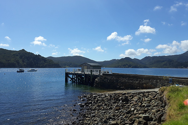 Okupu Bay - Great Barrier Island