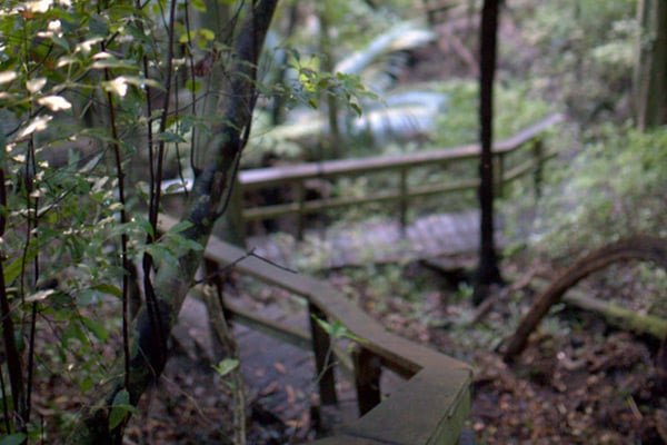 Glenfern Sanctuary - Great Barrier Island