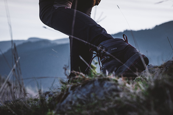 Hiking on Great Barrier - Photo by Sorin Gheorghita on Unsplash