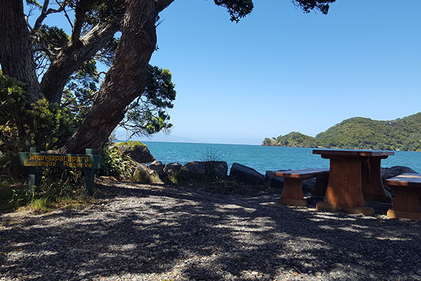 Whangaparapara Reserve - Great Barrier Island