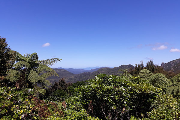 Windy Canyon lookout to Aotea Conservation Park on Great Barrier Island