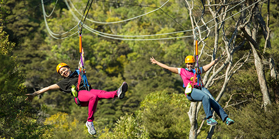 Ecozip Adventures on Waiheke