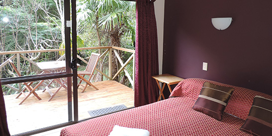 Punga and Tawa Lodge Waiheke