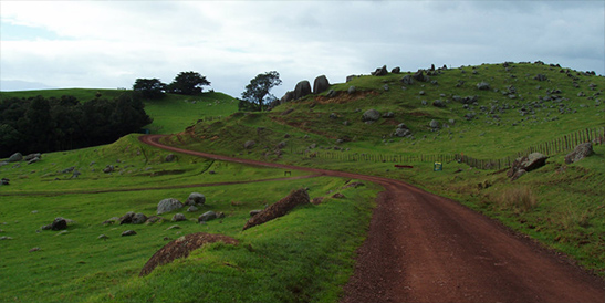 Stony Batter Waiheke - off the beaten track