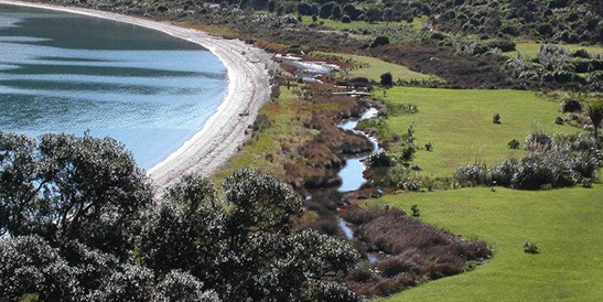 Whakanewha Regional Park Waiheke