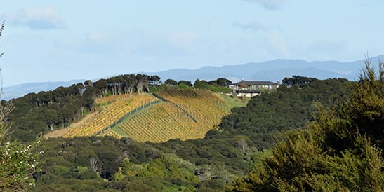 Woodside Hill Winery Waiheke