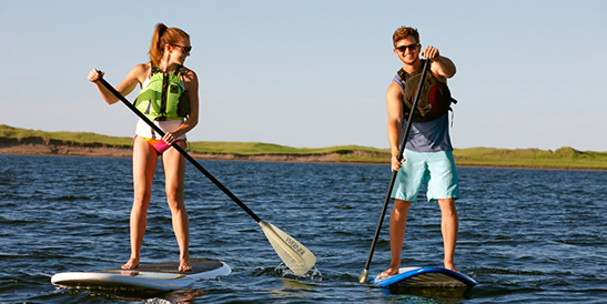 Stand up paddle boarding Waiheke