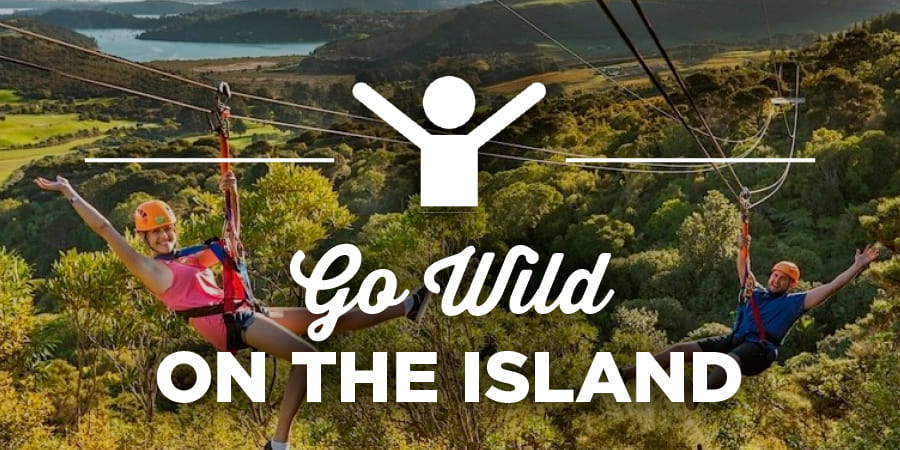 Go wild on the island