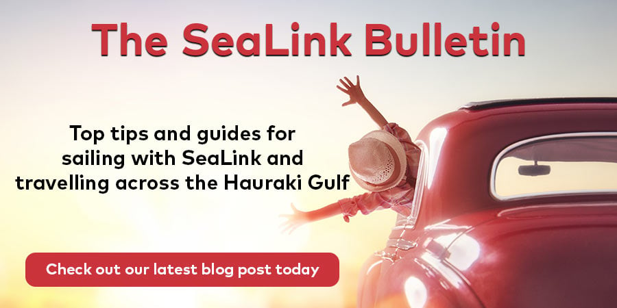 Check out the SeaLink Blog today - person in car excited to be on the road