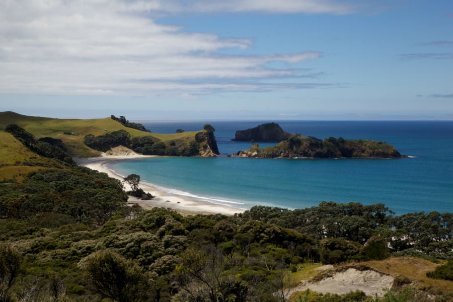 Great Barrier Island East coast beach view