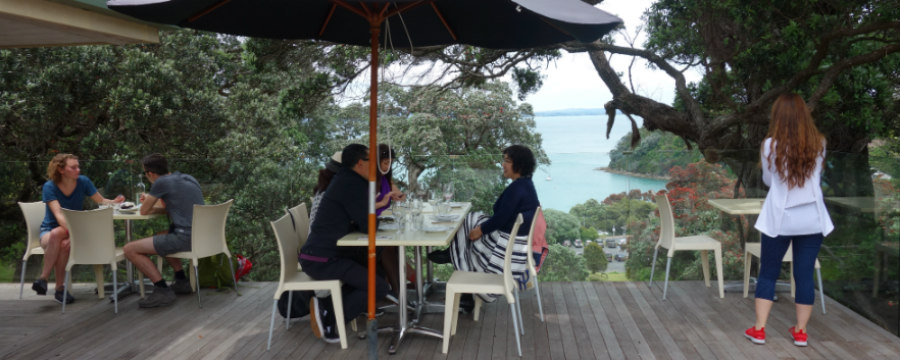 Kennedy Point vineyard on the deck looking out to sea