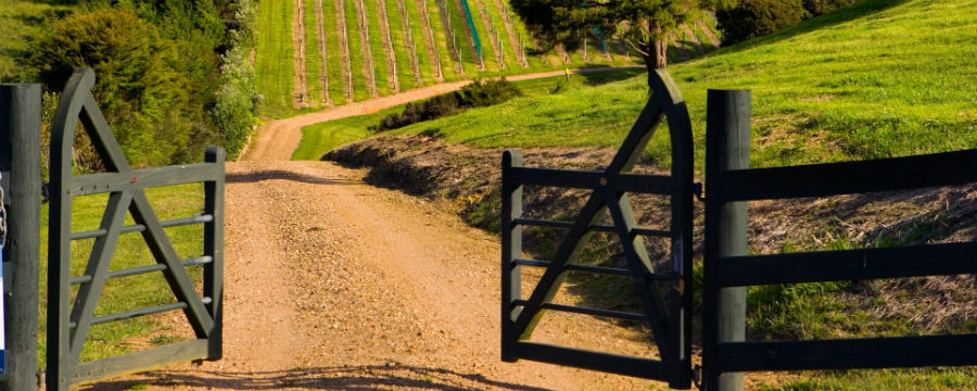 Peacock Sky vineyard gate