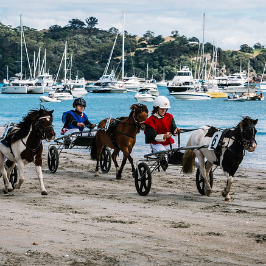 ONetangi Beach Races sponsorship image