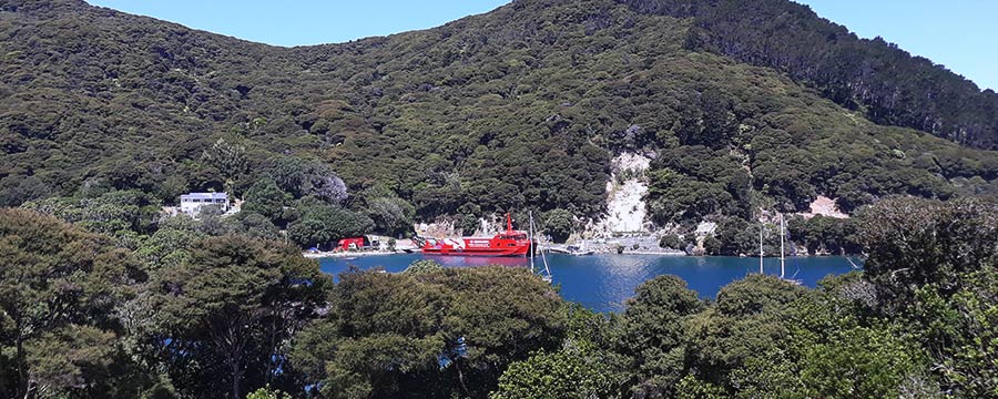 SeaLink ferry Island Navigator at Port Fitzroy Great Barrier