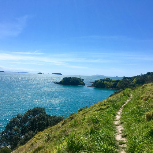 5 essentials for your trip to Waiheke
