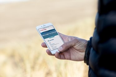 Memberships insitu on a beach