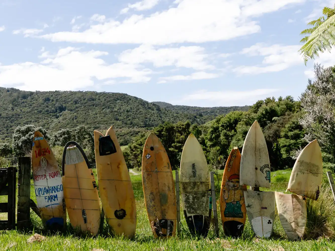 Great Barrier Surfboard