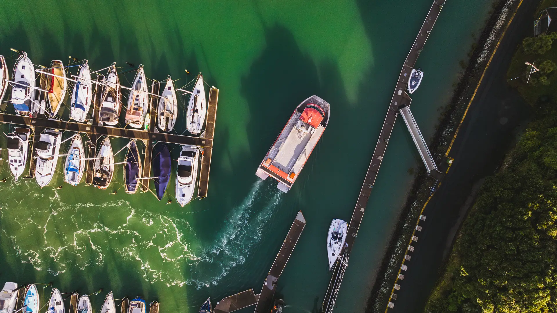 SeaLink Login Manage Your Bookings sealink-login-manage-your-bookings