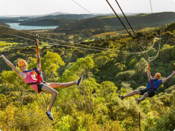 Waiheke EcoZip Ziplining Activity