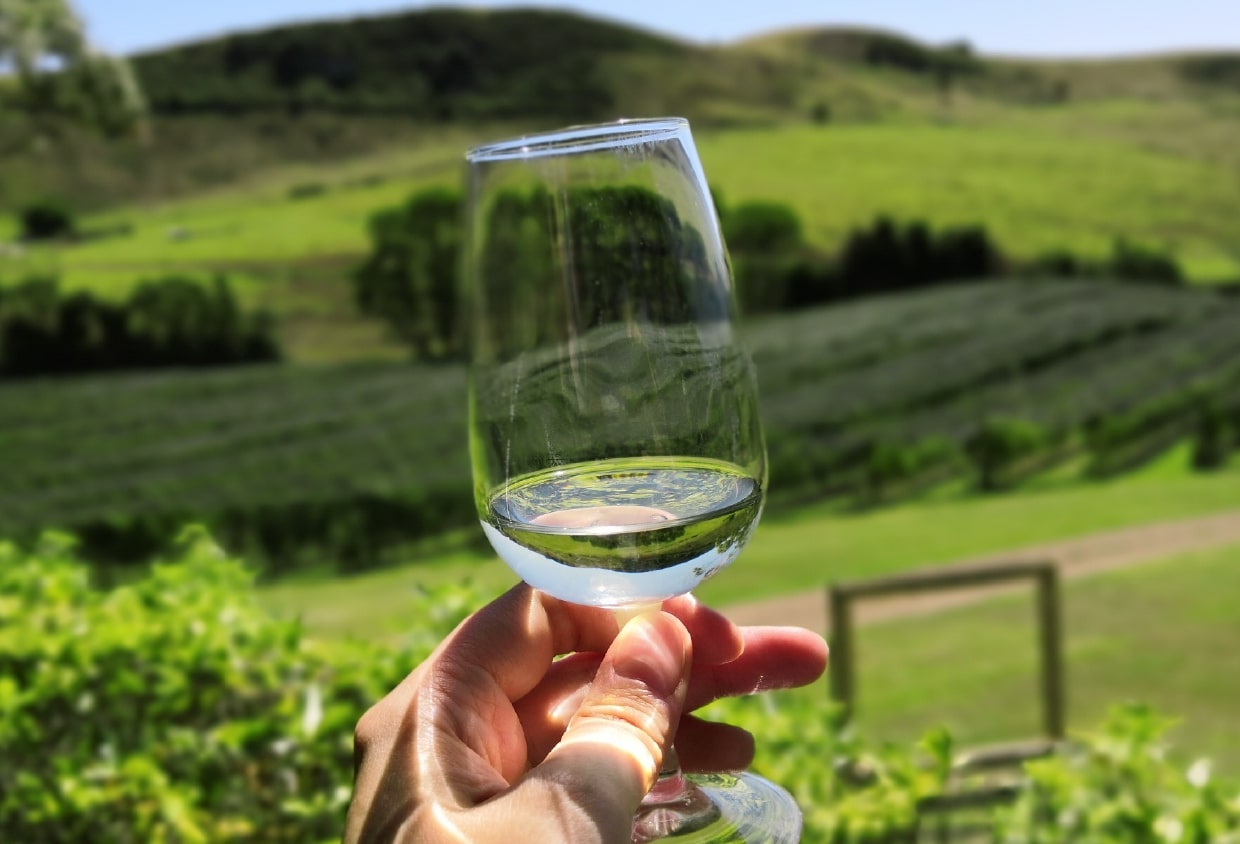 Waiheke Wine Experience